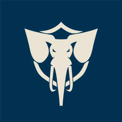Virtus.pro