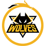 Virtus.pro